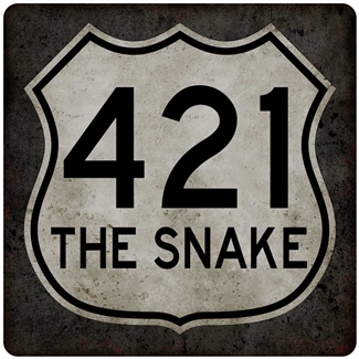 #33 Metal 421 The Snake 12x12
