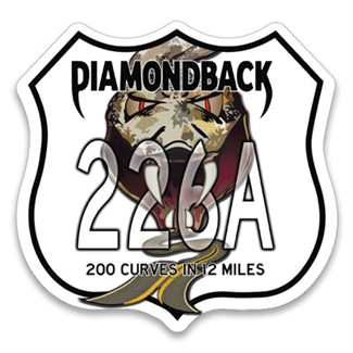 #54 Diamondback 226A Sign Sticker